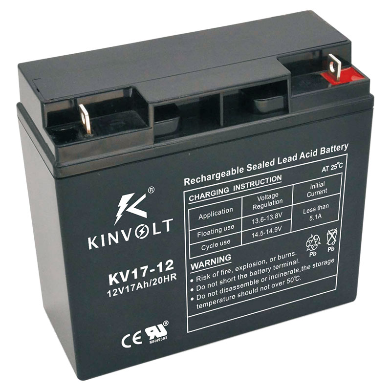 VRLA Battery