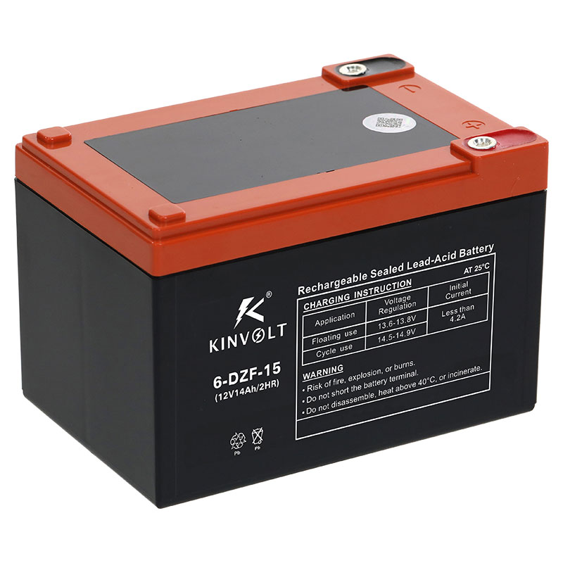 Electric Vehicle Battery